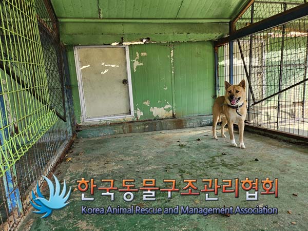 한국동물구조관리협회_441406202401928